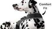 Convenient GPS Pet Tracking with Mini Collar Realtime Tracking Device Size:L