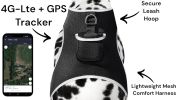 Consistent Realtime Tracking w/ Mini Collar Animal GPS Tracking Device Size:L