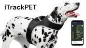 Consistent Realtime Tracking w/ Mini Collar Animal GPS Tracking Device Size:L