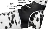 Consistent Realtime Tracking w/ Mini Collar Animal GPS Tracking Device Size:L