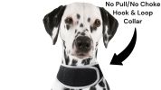 Collar Rechargeable Portable GPS Tracking Devices for Pets GSM Locator Size:L