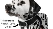 Dependable Cell Phone GPS Tracking Collar Mount Waterproof Pet Locator Size:L