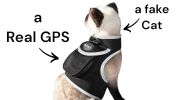 Affordable Pet Surveillance System GSM Rechargeable Collar GPS Tracking for Dogs Size:L