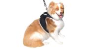 Precise Realtime Pet Tracking System w/ Pet Tracker GPS Dog Collar Tracker Size:L