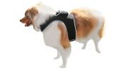 Precise Realtime Pet Tracking System w/ Pet Tracker GPS Dog Collar Tracker Size:L